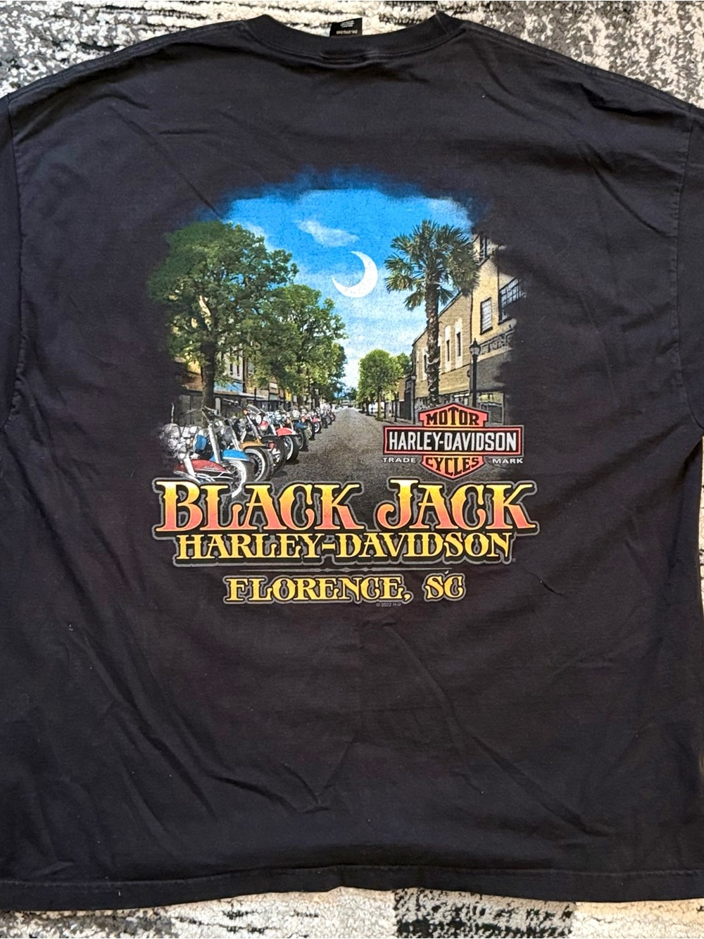 Harley-Davidson Black Graphic Tee with Scenic Multi-Color Back Print